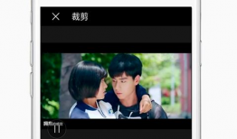 视频豆豆,趣味横生的日常瞬间